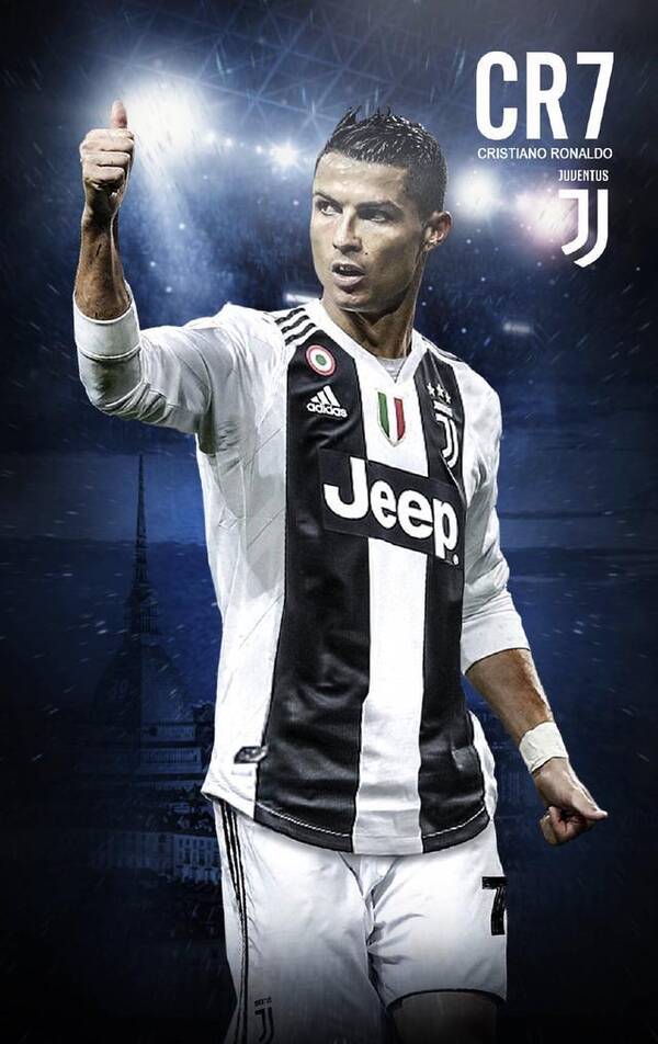 仅体现了狼 仅体现了狼